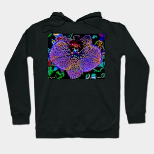 Night Moth Hoodie